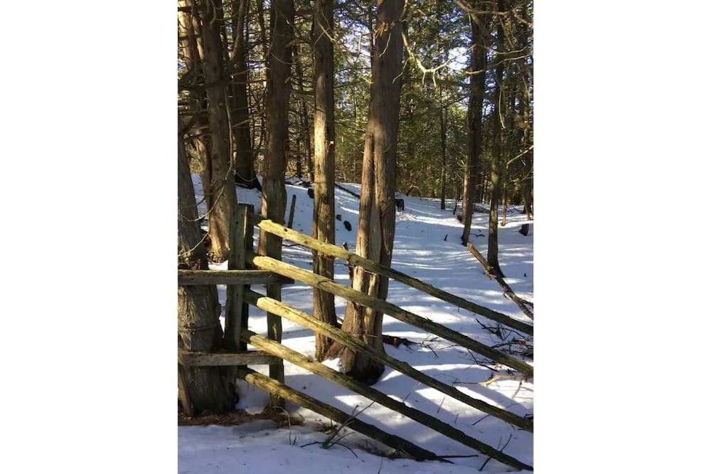 Photo of Outdoor in Grafton