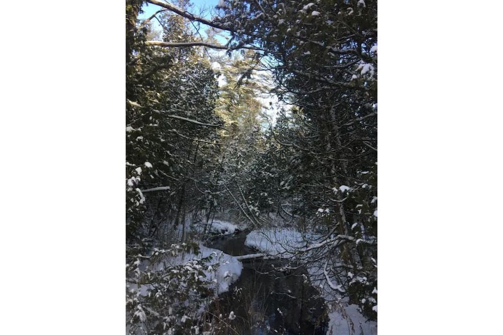 Photo of Outdoor in Grafton