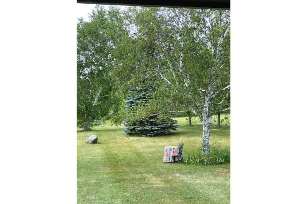 Photo of Outdoor in Grafton