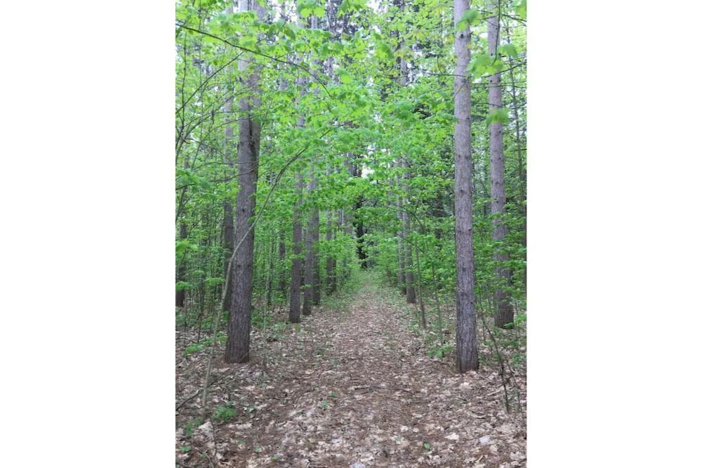 Photo of Outdoor in Grafton