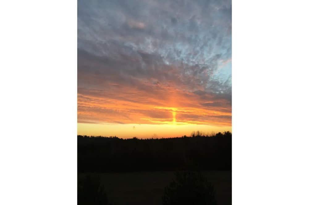Photo of Outdoor in Grafton