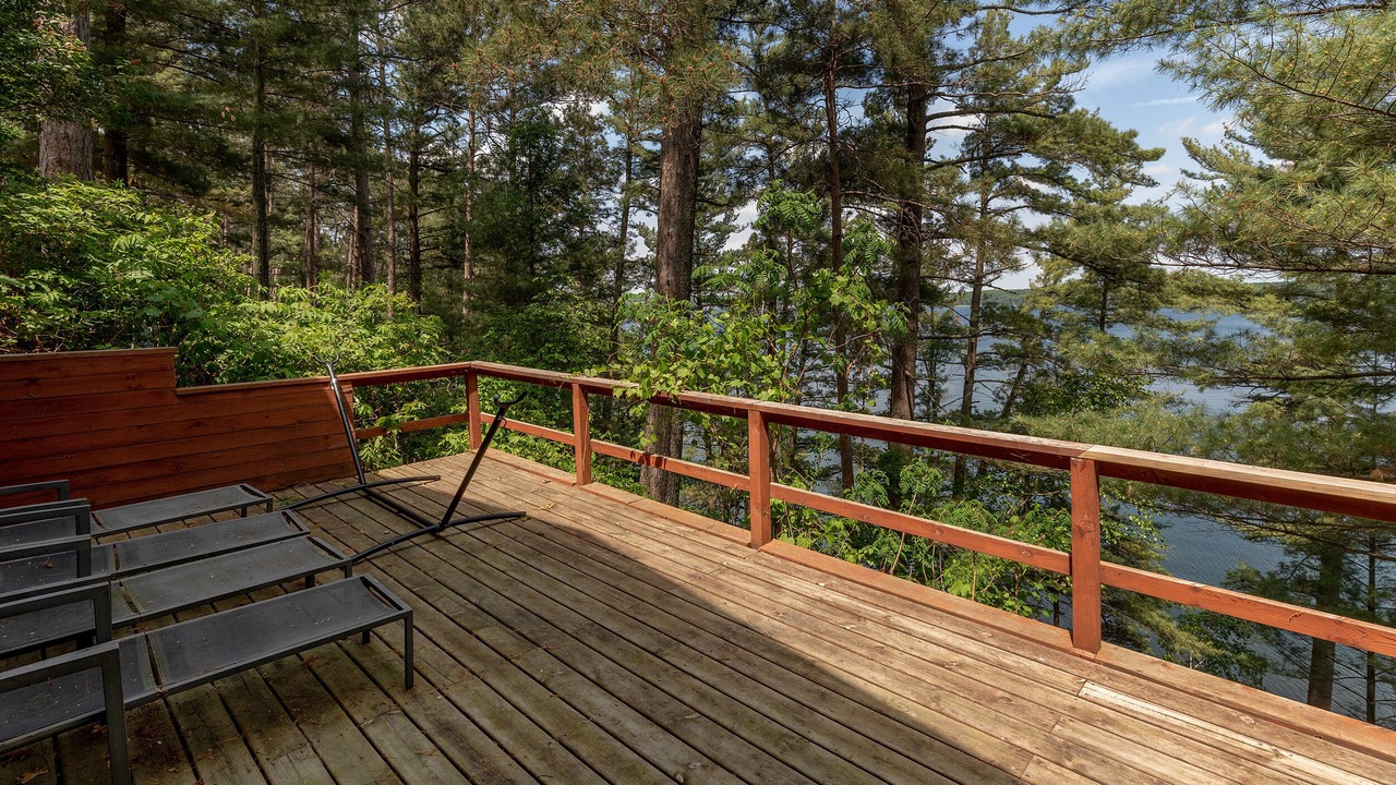 Photo of Outdoor in Motley
