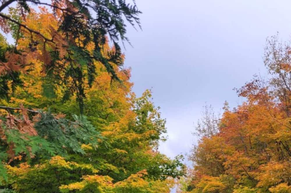 Photo of Outdoor in Manitoulin District