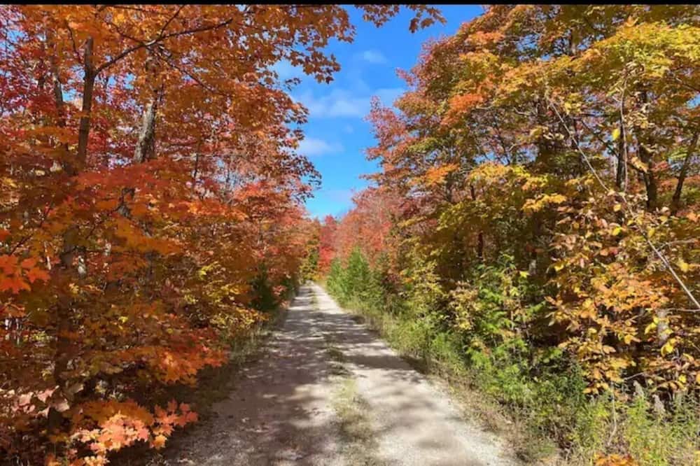 Photo of Others in Manitoulin District