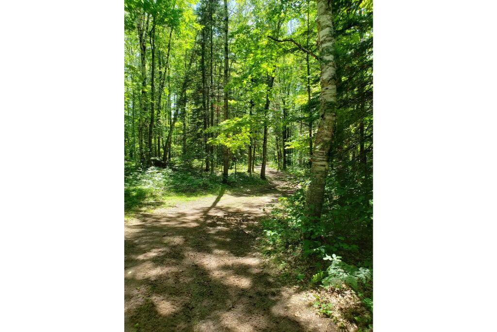 Photo of Outdoor in Pine County