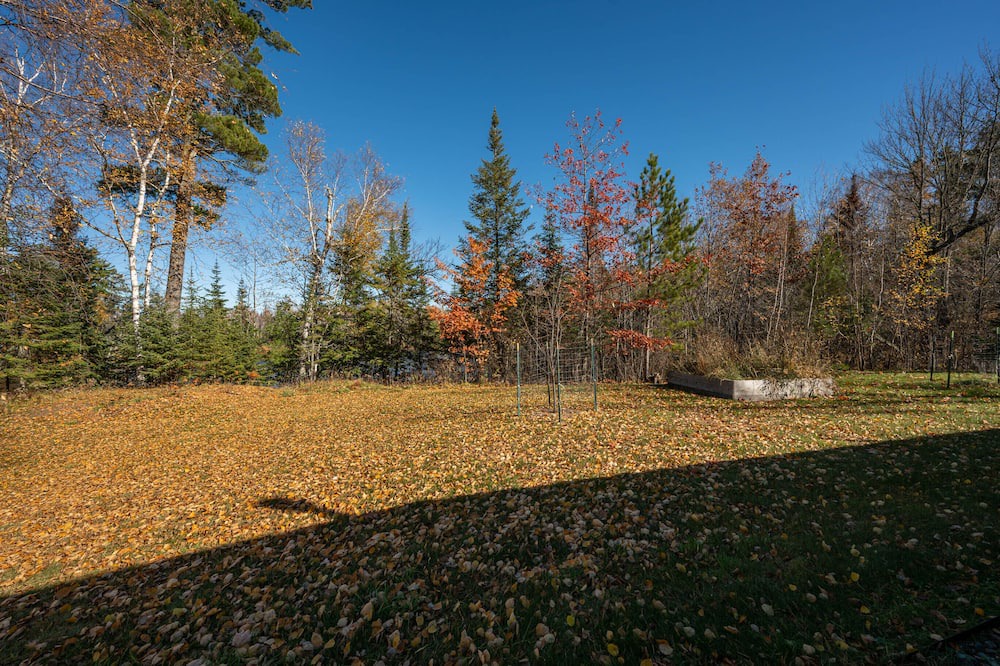 Photo of Outdoor in Bigfork