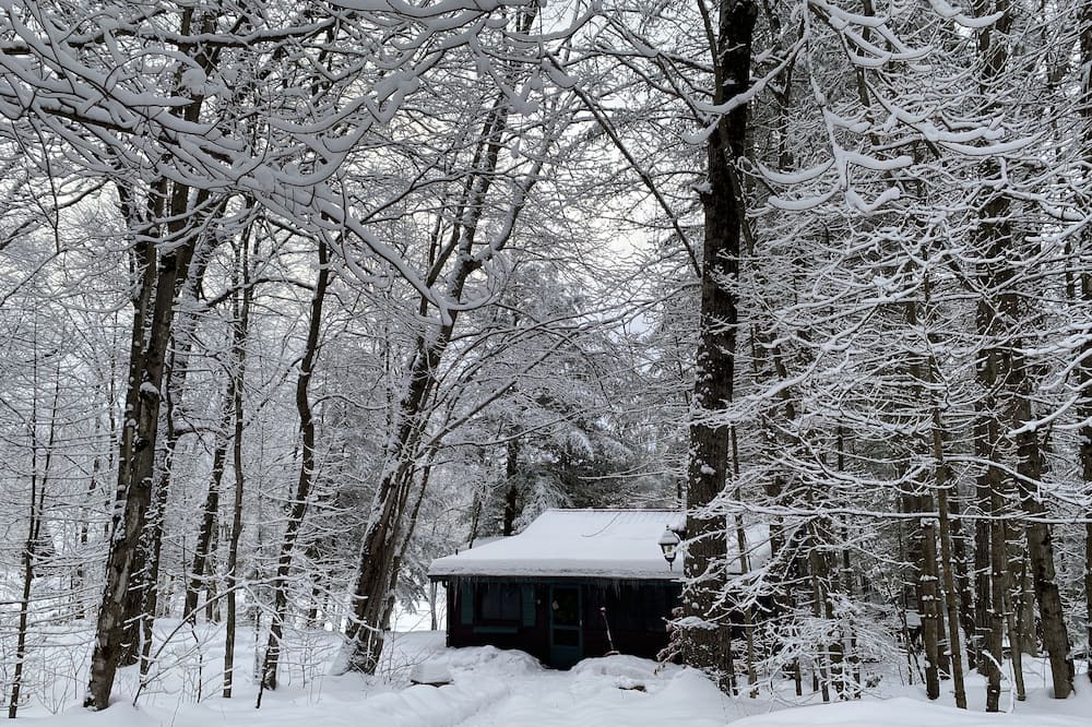 Photo of Others in Havelock-Belmont-Methuen