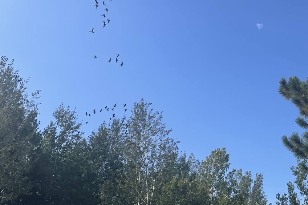 Photo of Others in International Falls