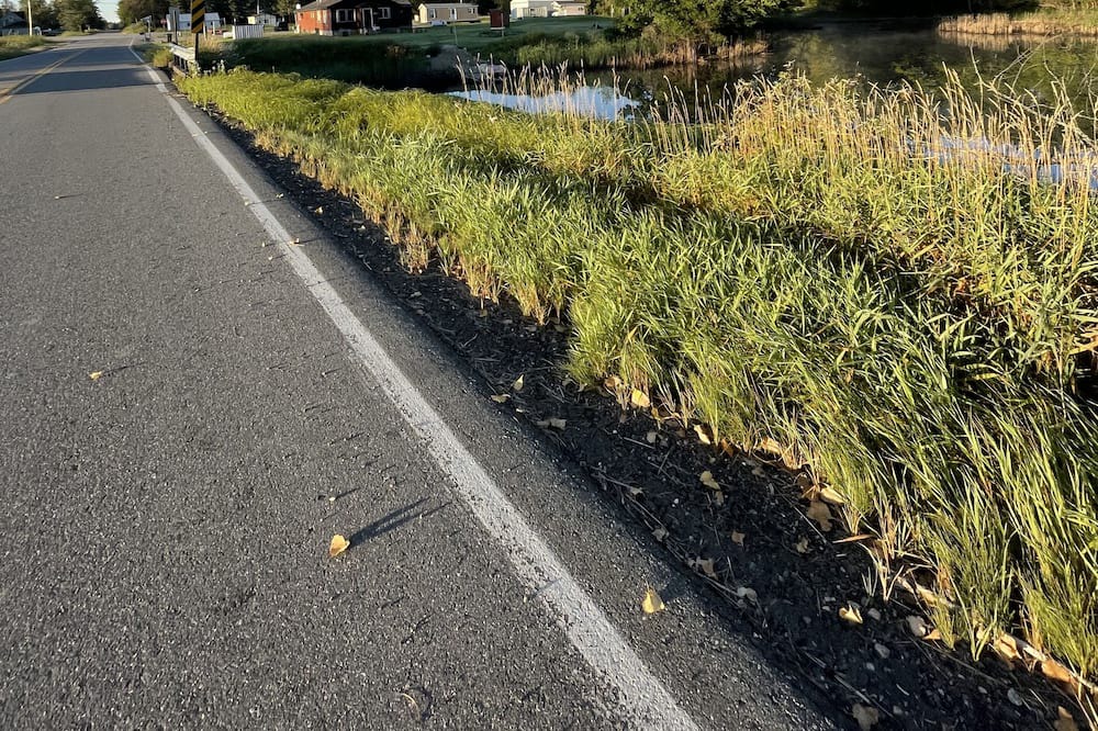 Photo of Others in International Falls