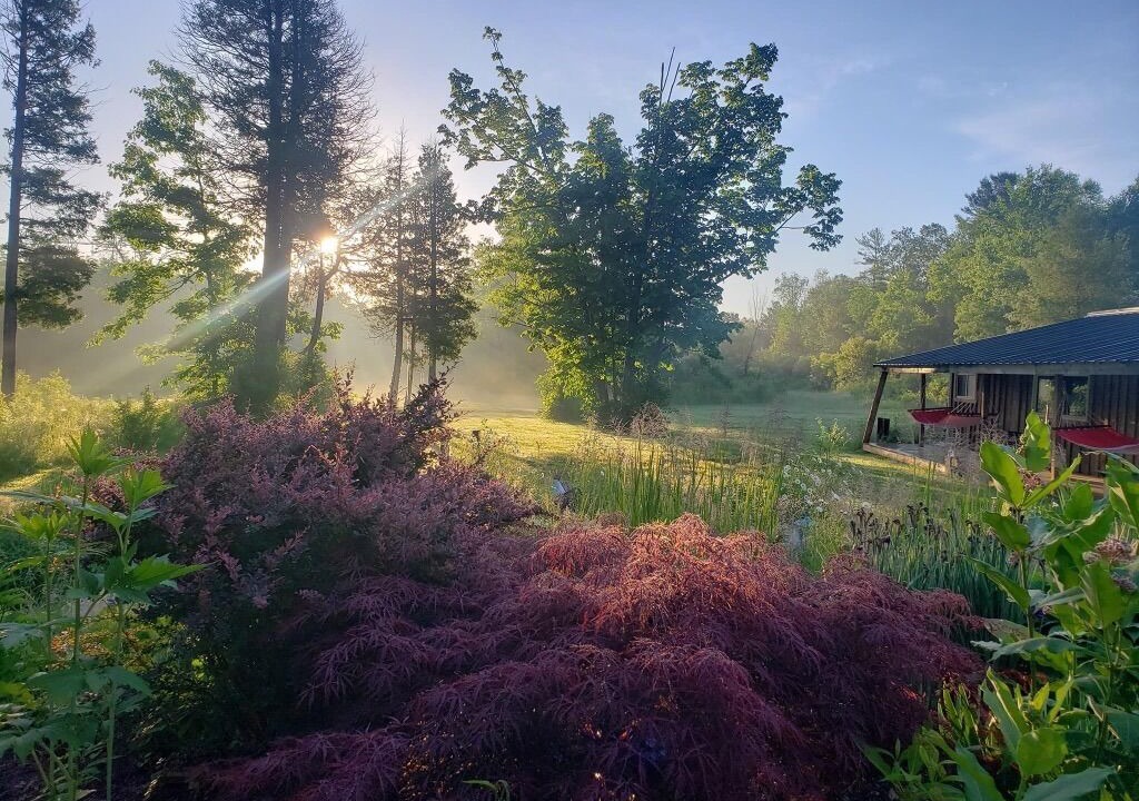 Photo of Outdoor in Clarington