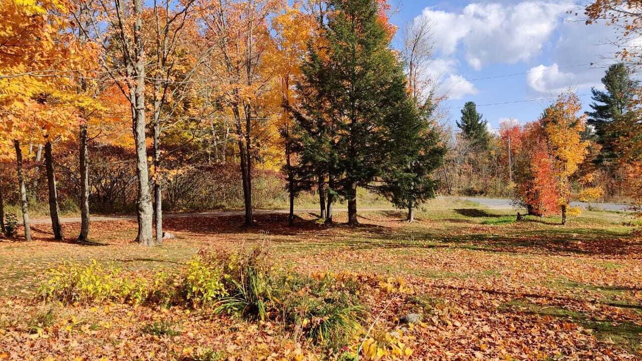 Photo of Outdoor in Arden