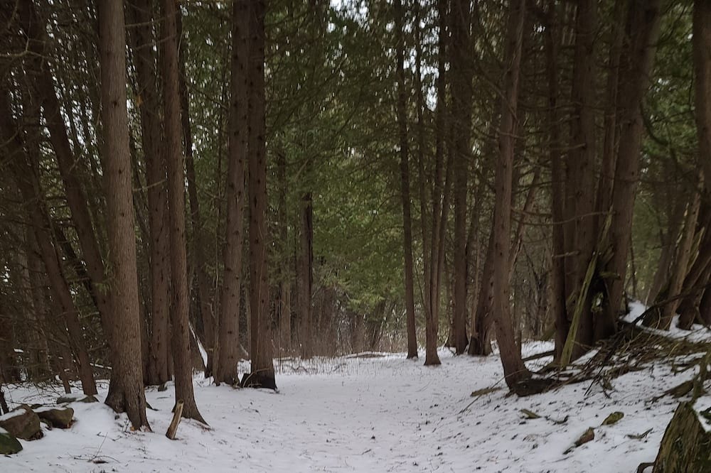 Photo of Others in Brock
