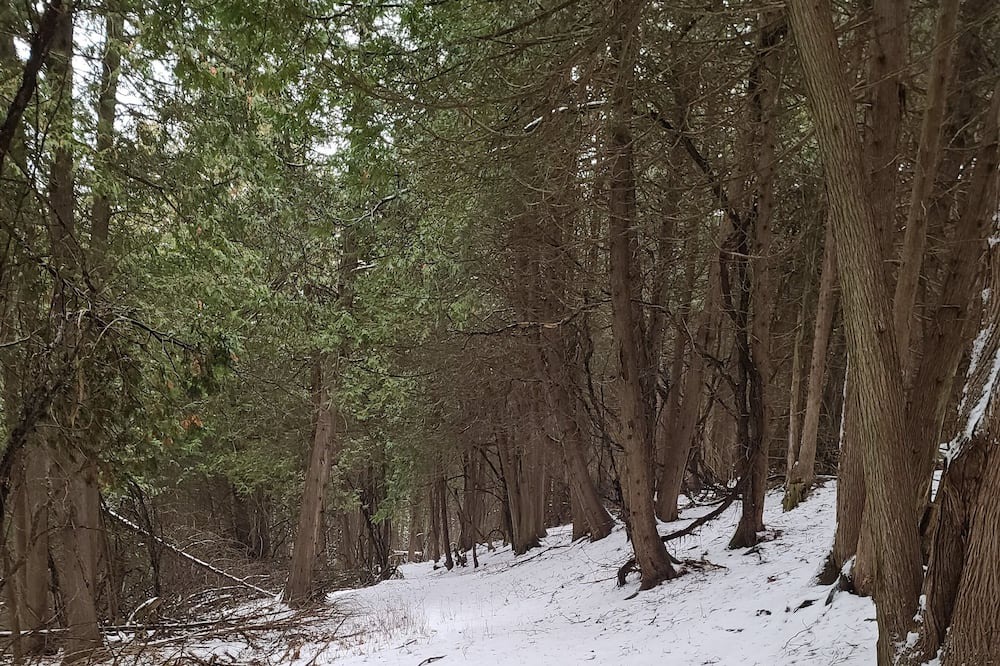 Photo of Outdoor in Brock