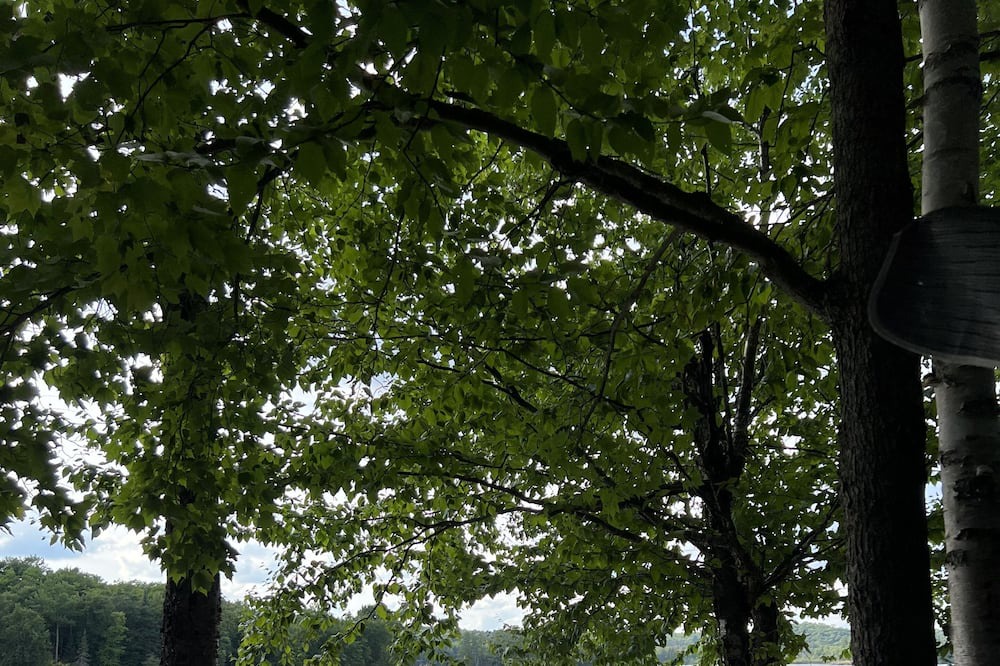 Photo of Outdoor in Novar