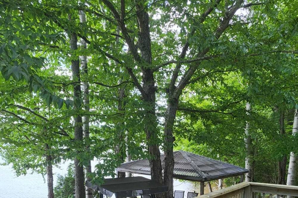 Photo of Outdoor in Novar