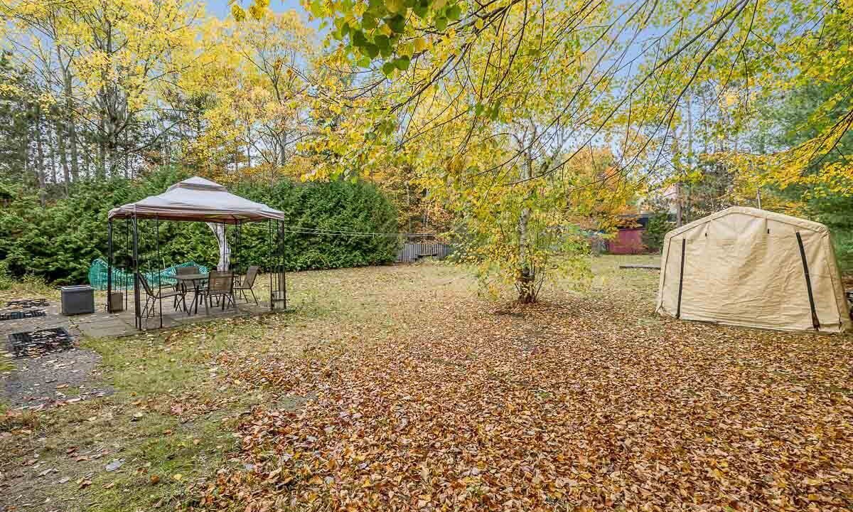 Photo of Outdoor in Tiny