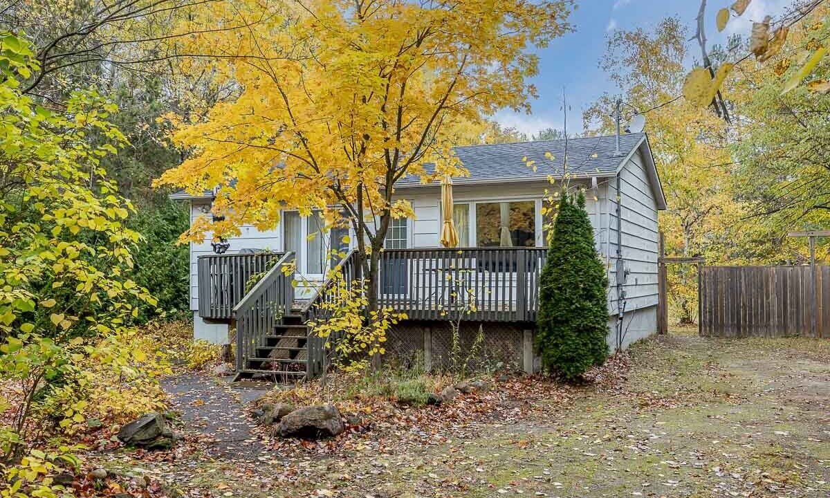 Photo of Outdoor in Tiny