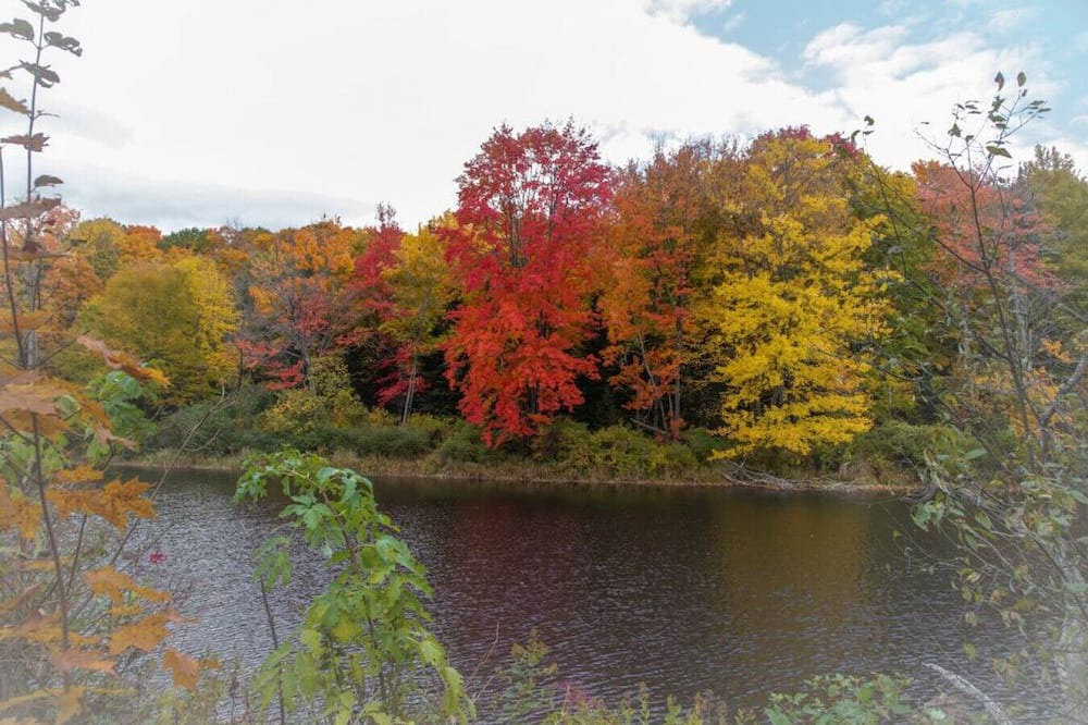 Photo of Outdoor in Stirling