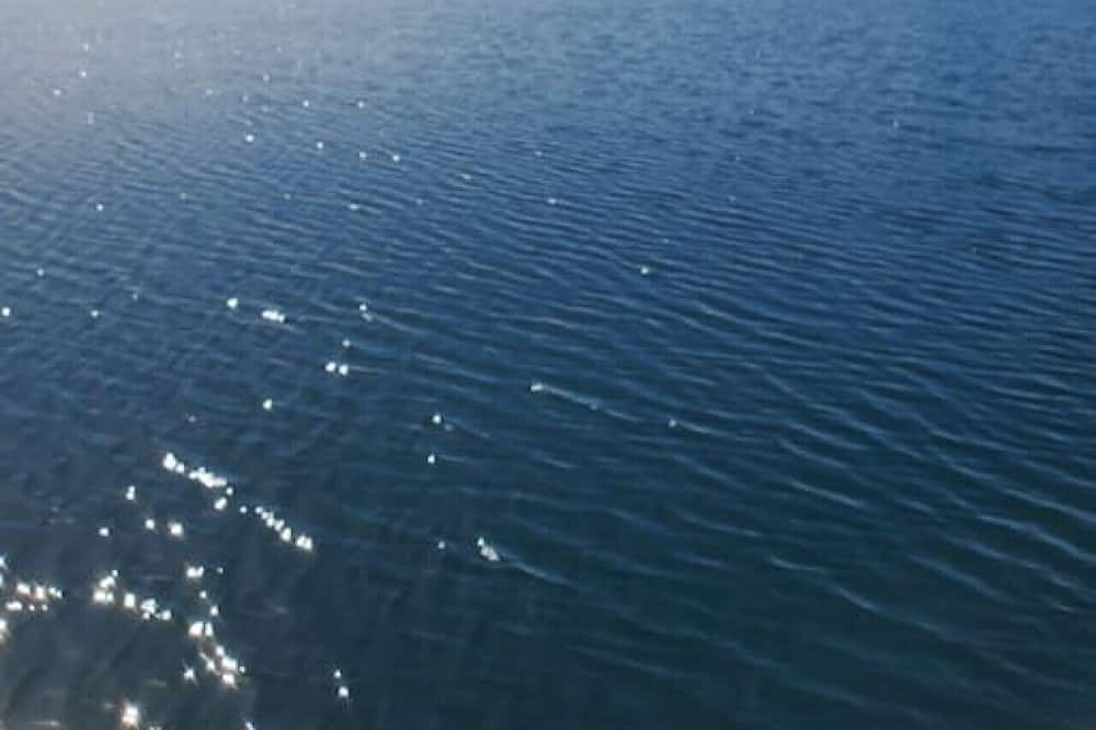 Photo of Others in The Archipelago