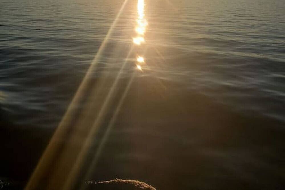 Photo of Others in The Archipelago