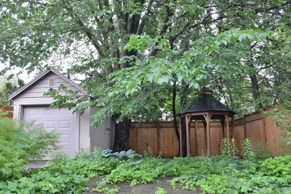 Photo of Outdoor in Sunnylea