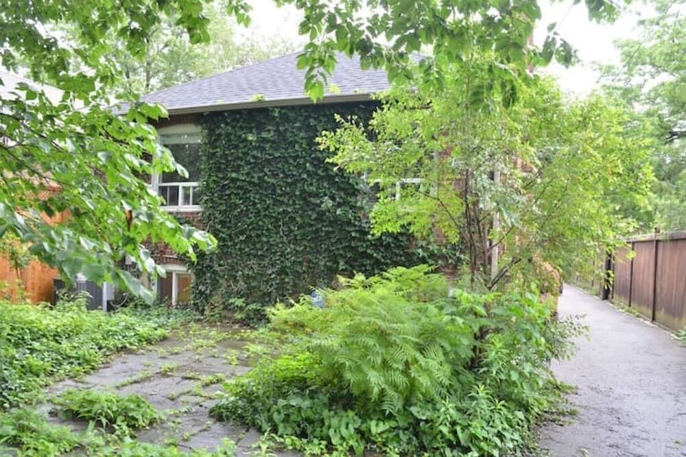 Photo of Outdoor in Sunnylea