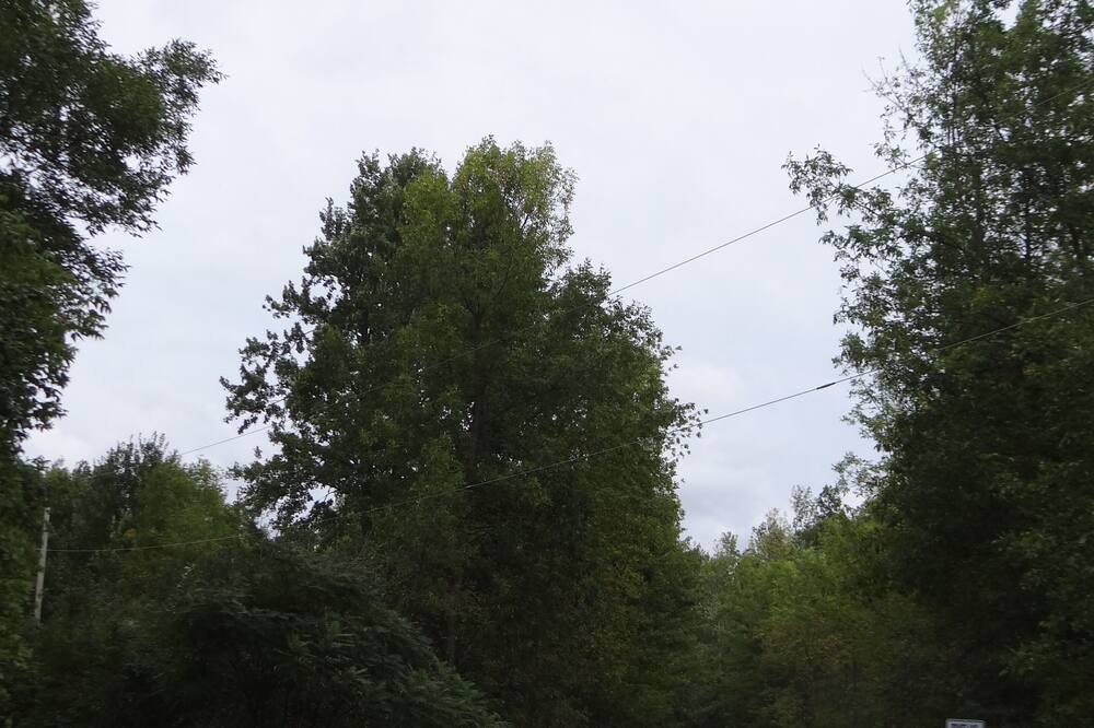 Photo of Outdoor in Elora