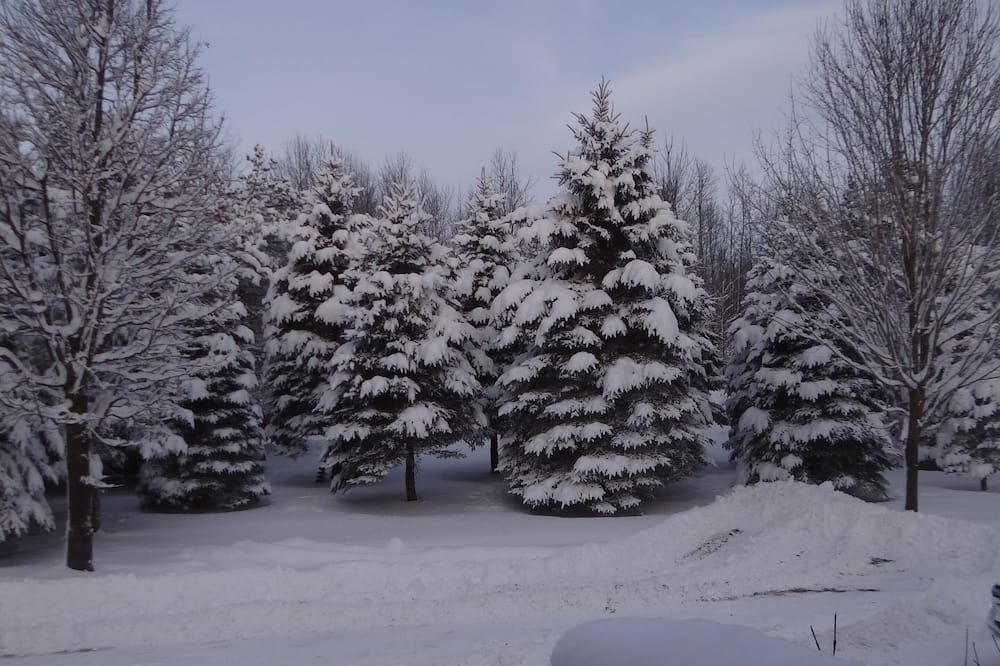 Photo of Outdoor in Elora