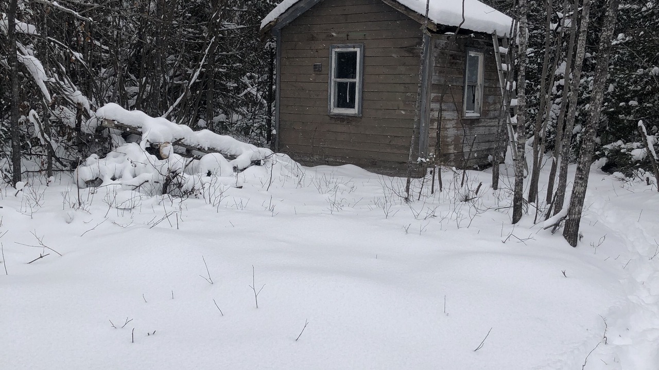 Photo of Outdoor in Fauquier-Strickland