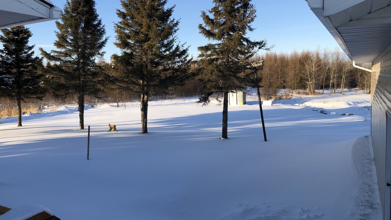 Photo of Outdoor in Fauquier-Strickland