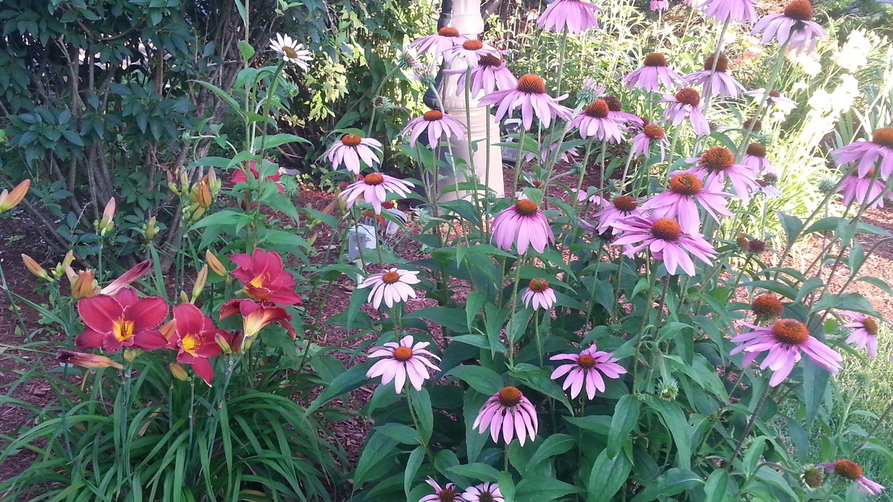 Photo of Outdoor in Thorold