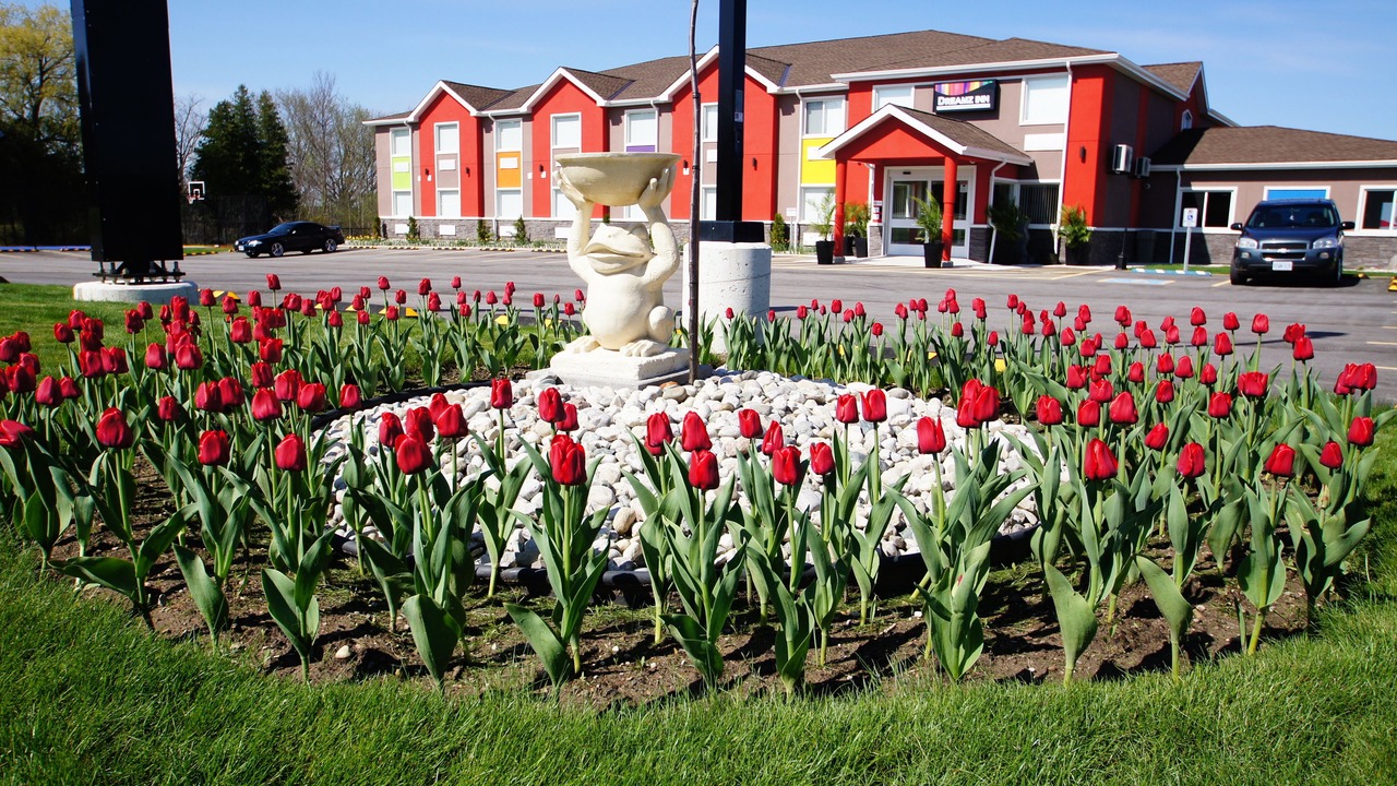 Photo of Outdoor in Central Huron