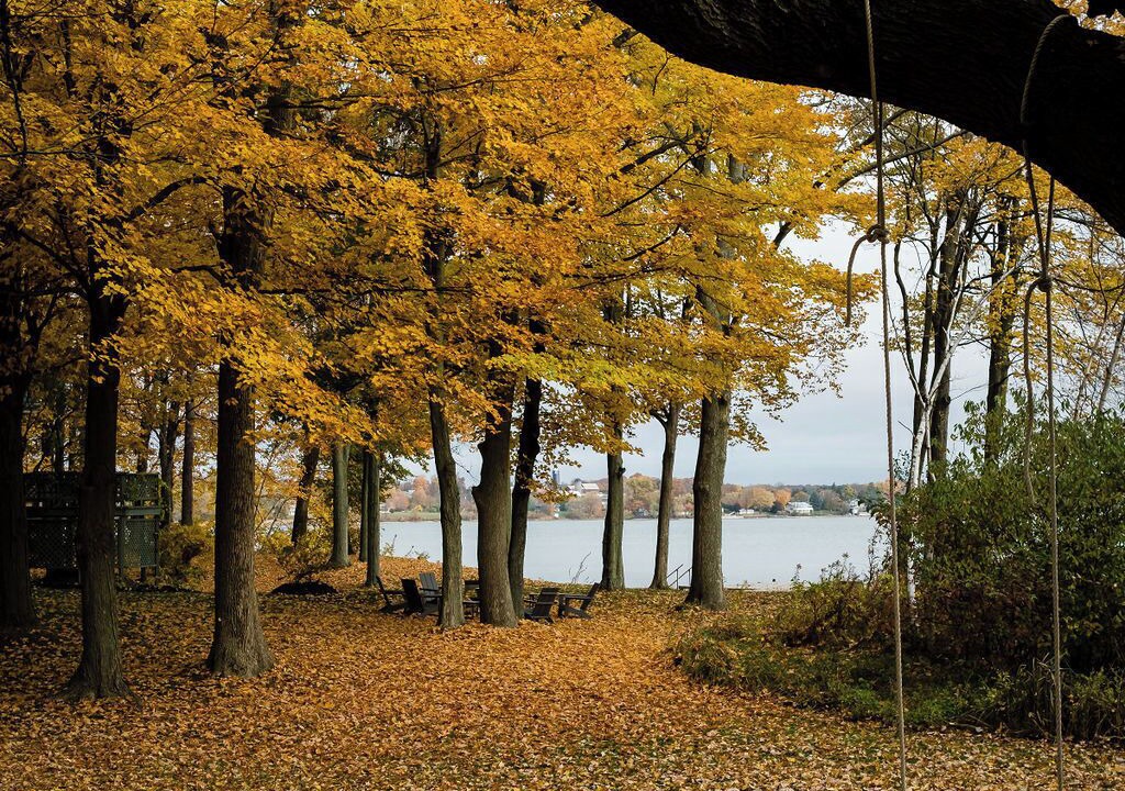 Photo of Others in Milford
