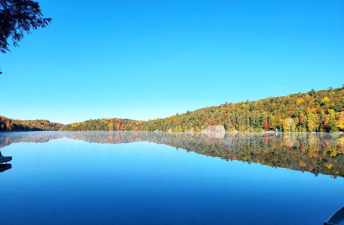 Photo of Outdoor in Minden Hills