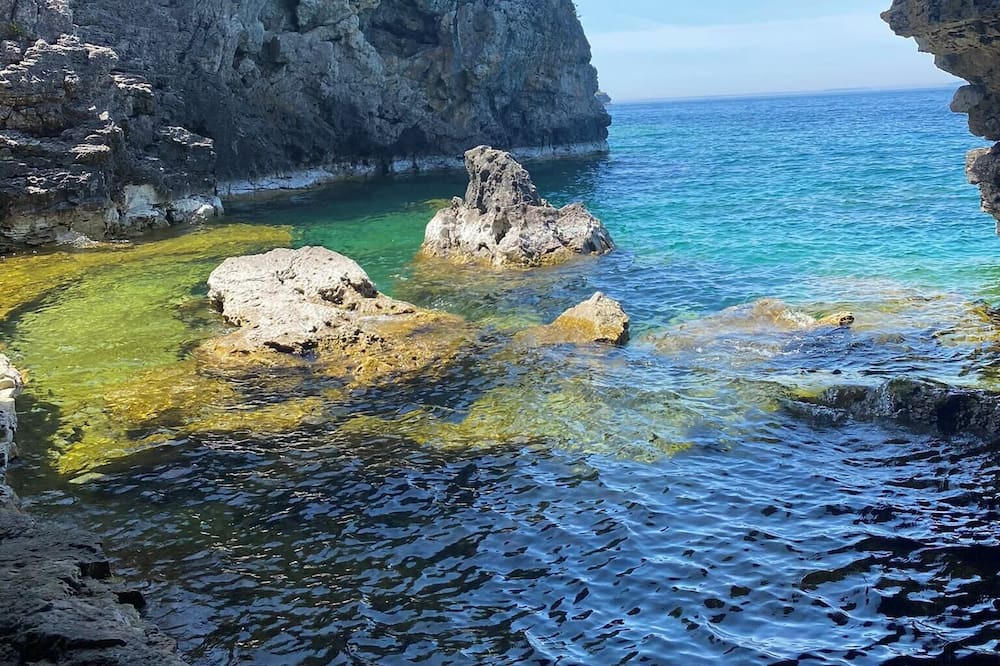 Photo of Others in South Bruce Peninsula