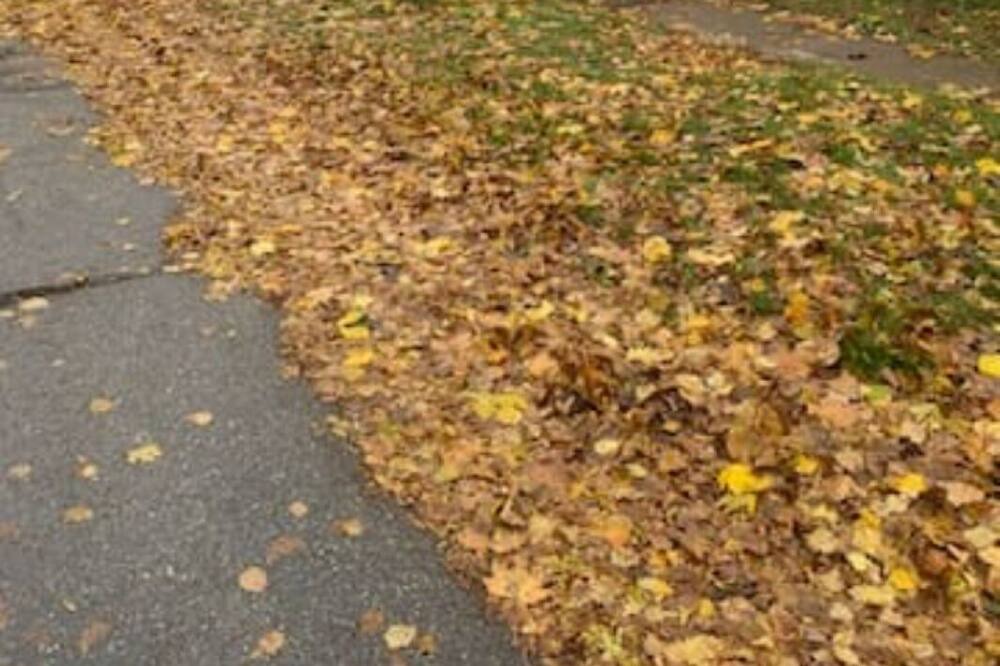 Photo of Others in Brantford