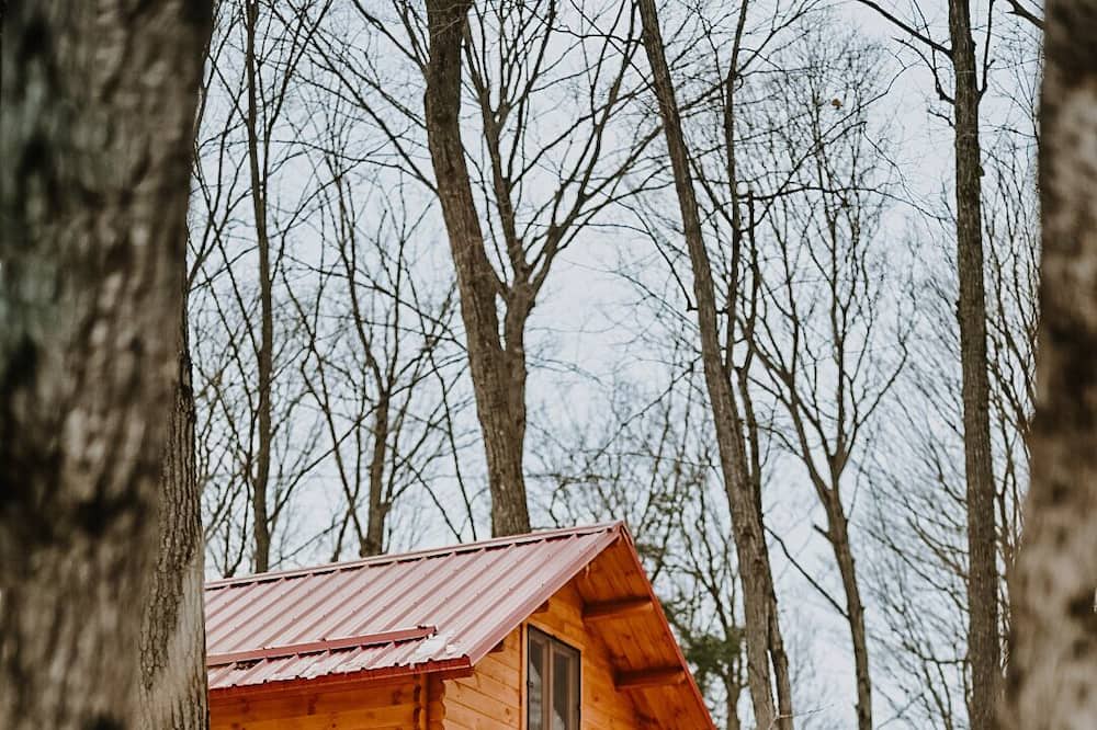 Photo of Outdoor in East Gwillimbury