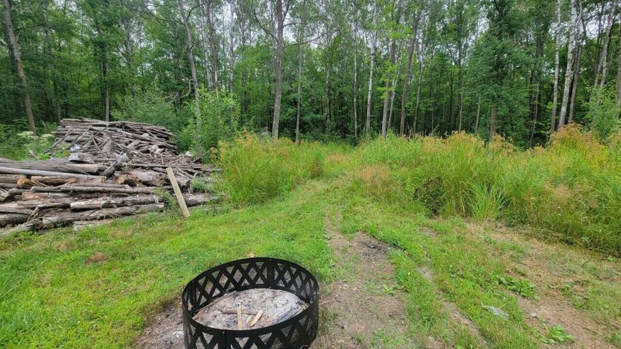Photo of Outdoor in Brook Park