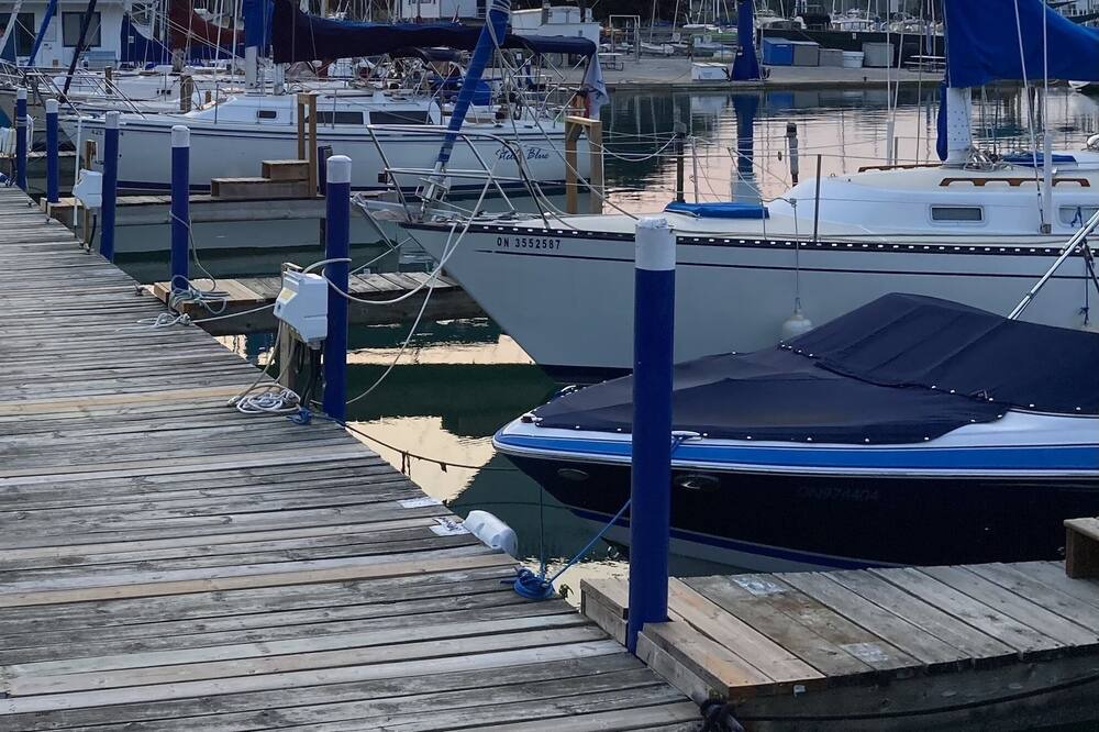 Photo of Others in Point Edward