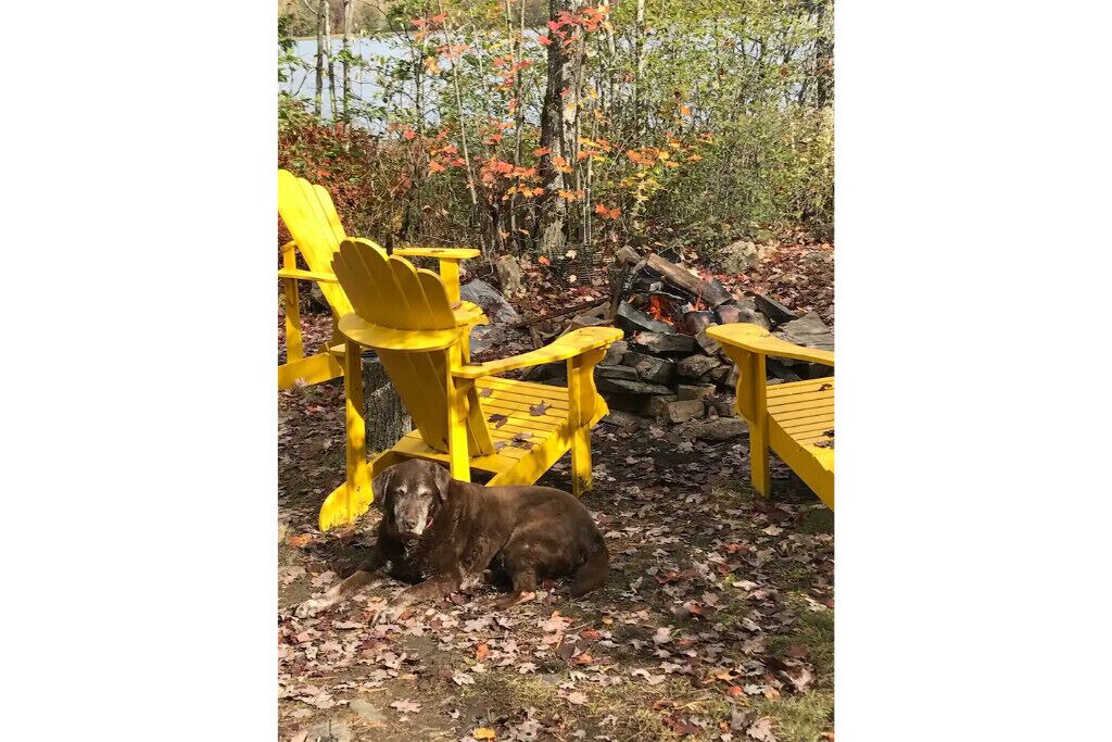 Photo of Outdoor in Arden