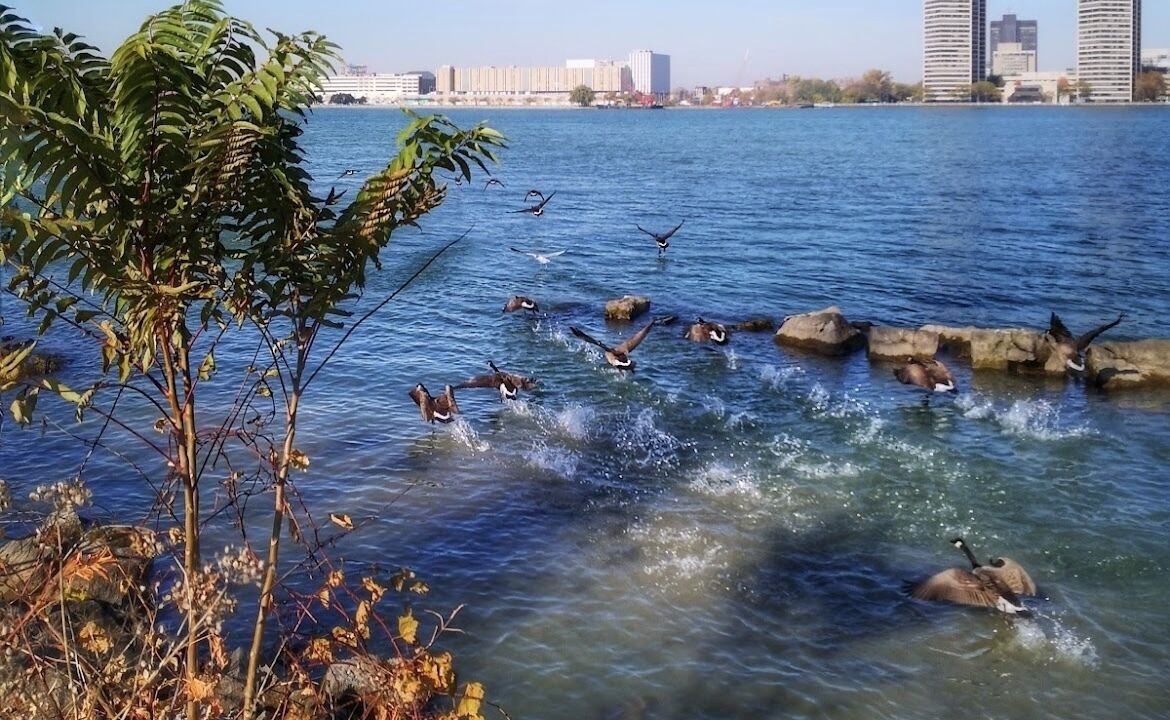 Photo of Outdoor in East Windsor