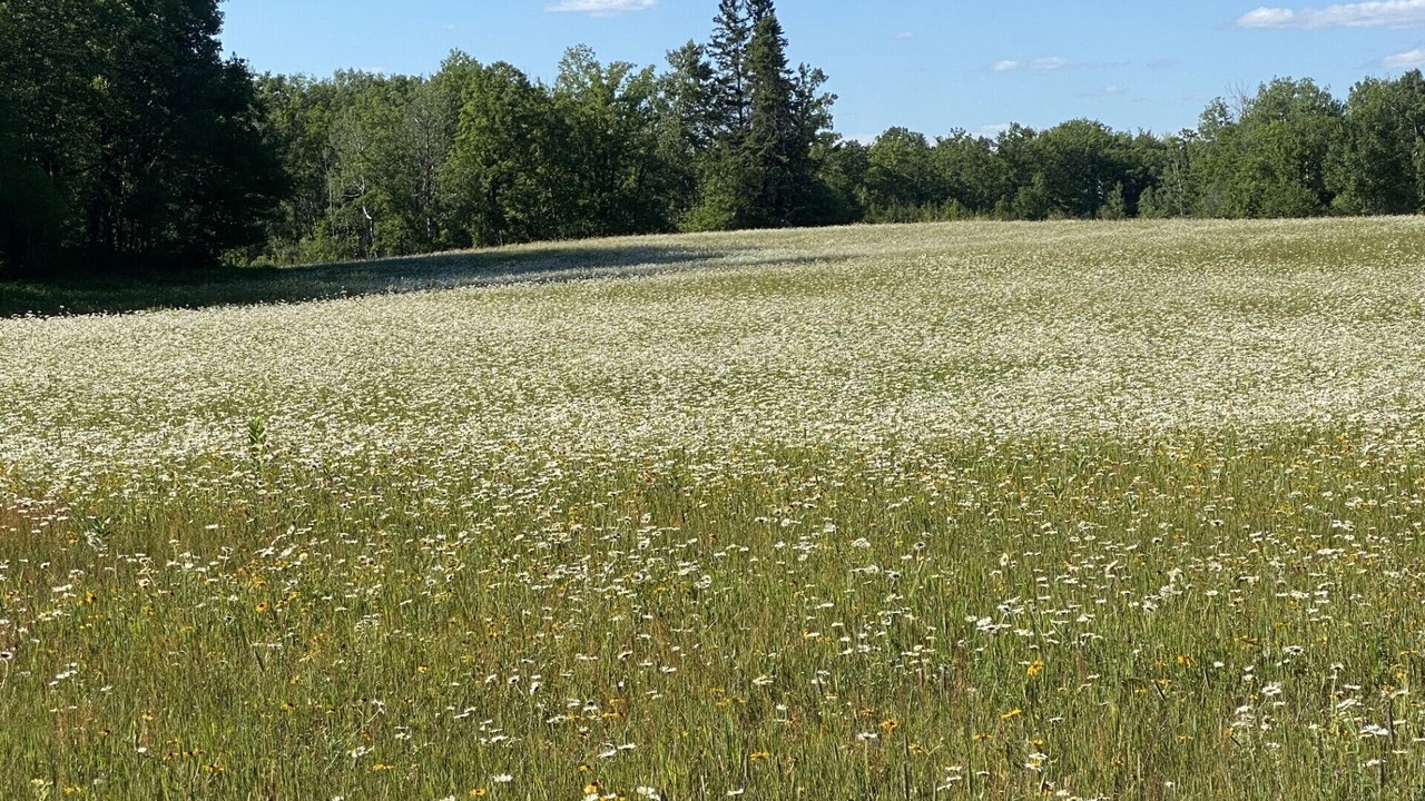Photo of Others in Aitkin