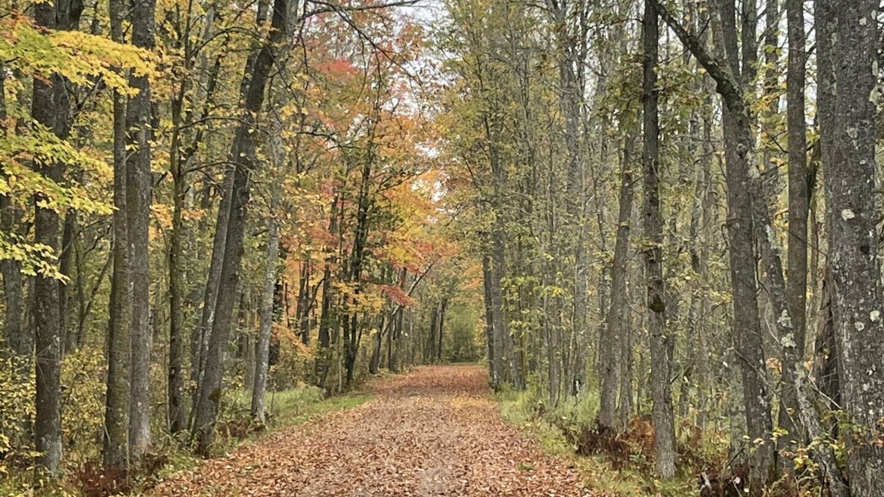 Photo of Others in Aitkin