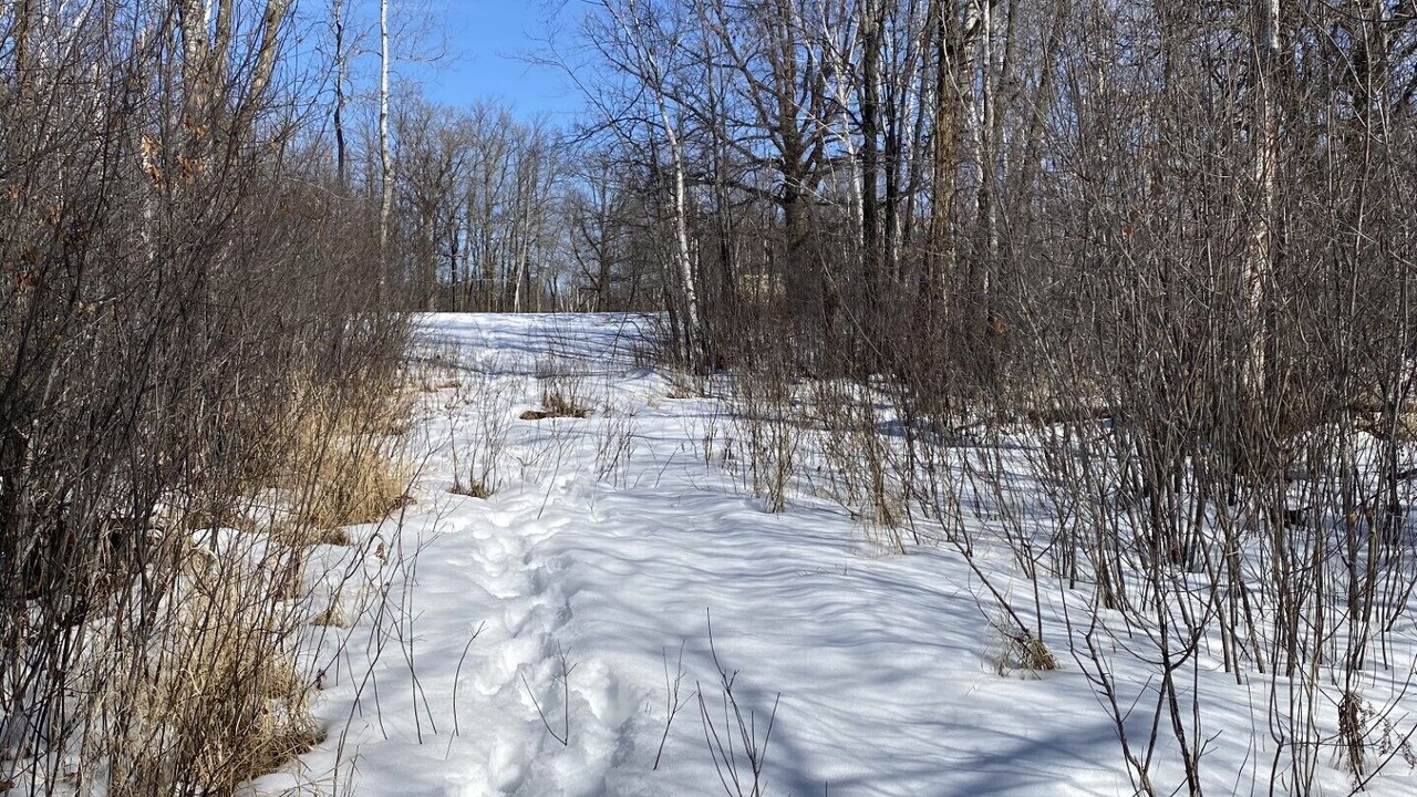 Photo of Others in Aitkin