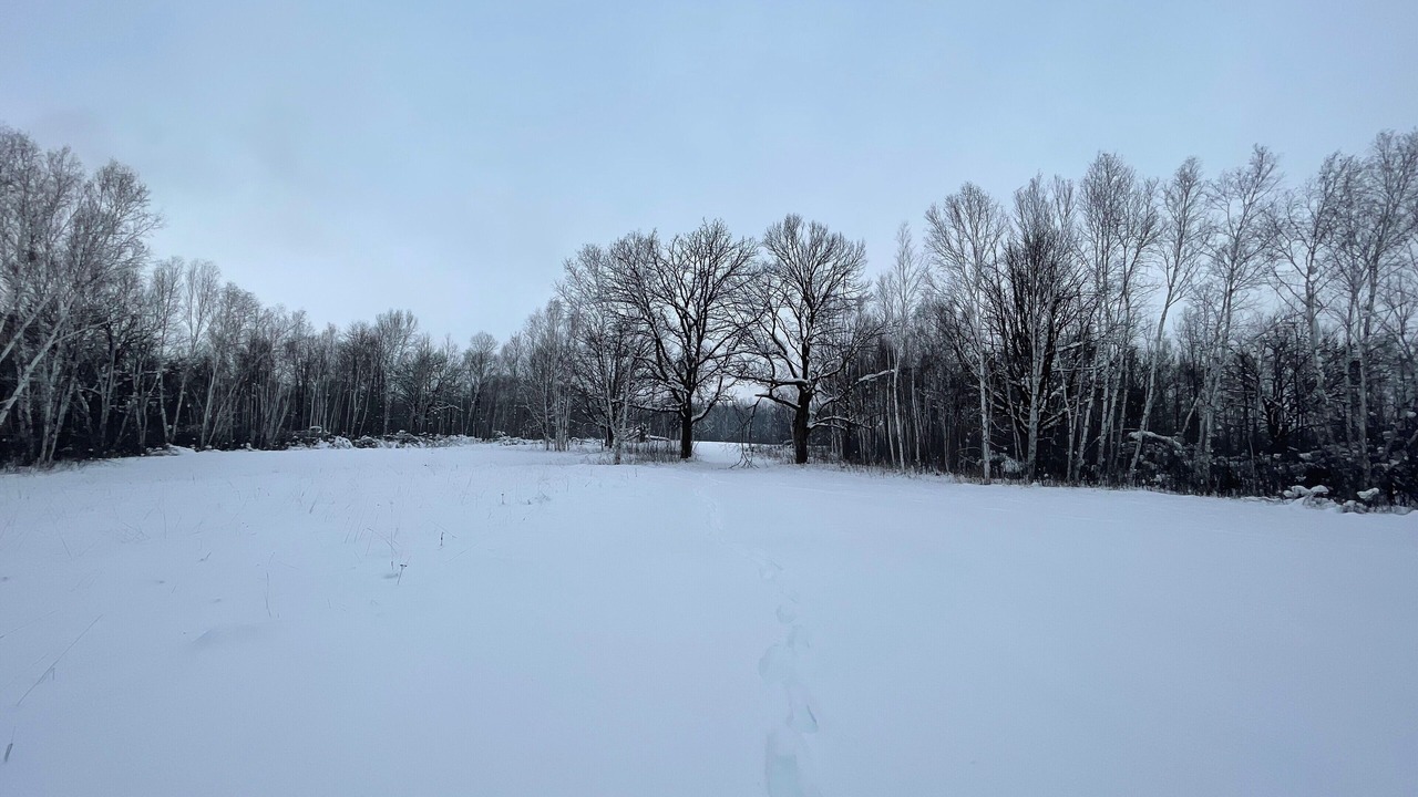 Photo of Others in Aitkin
