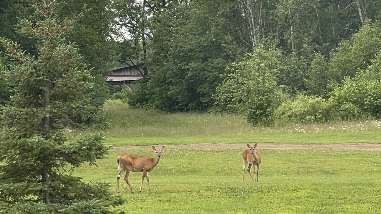 Photo of Others in Aitkin