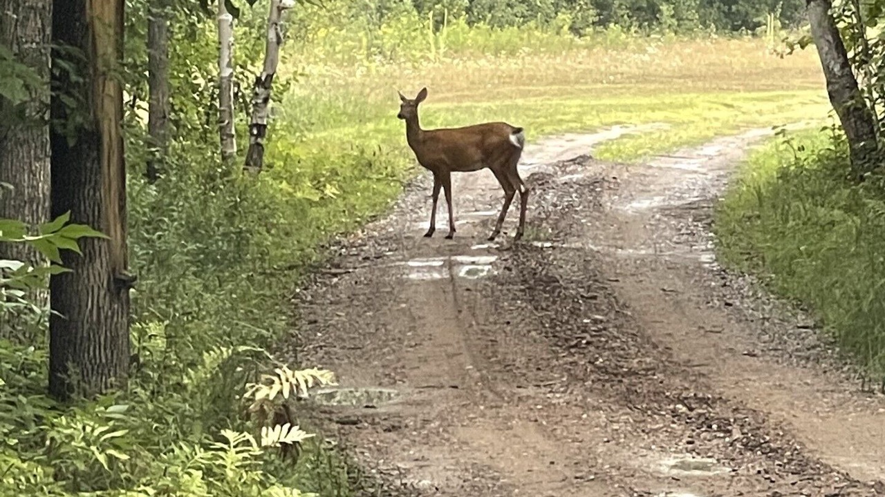 Photo of Outdoor in Aitkin