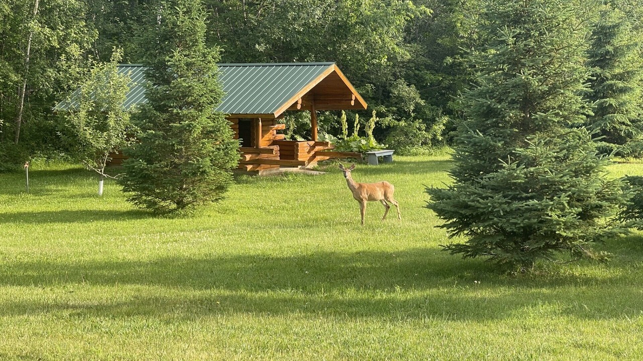 Photo of Outdoor in Aitkin
