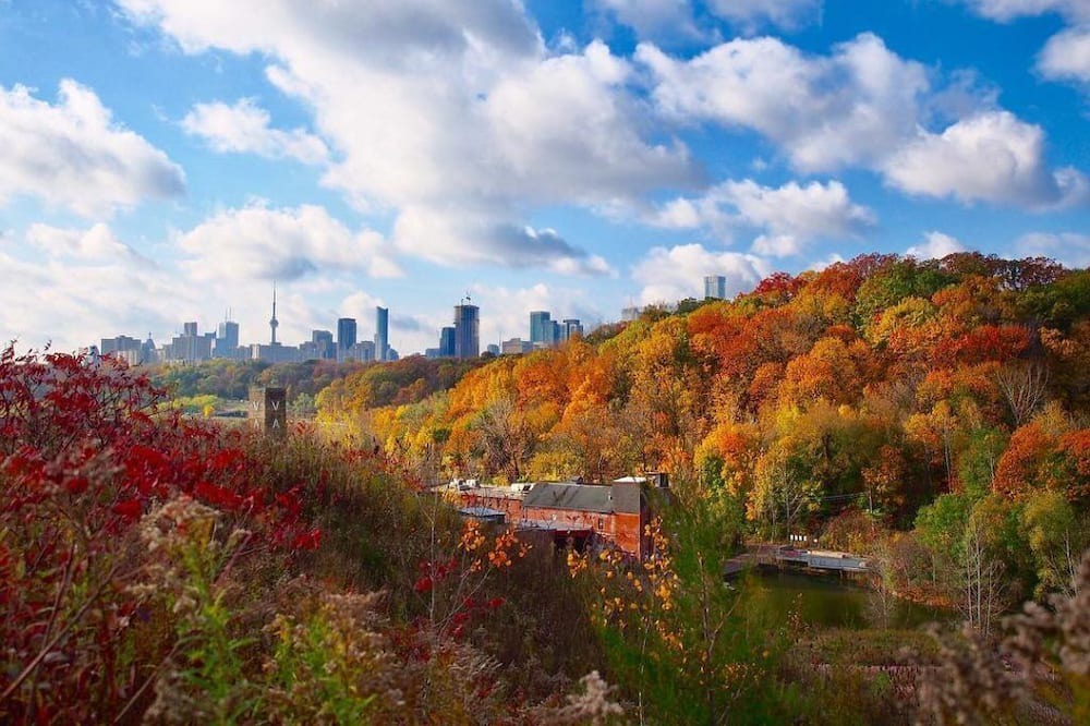 Photo of Outdoor in Flemingdon Park