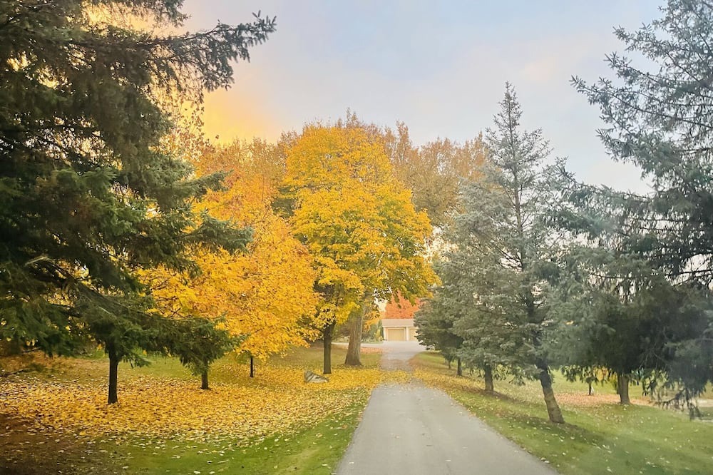 Photo of Outdoor in Caledon